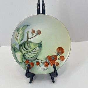 J&C Bavaria Hand Painted Raspberry Plate Eva Golver Signed Decorative Dish Vtg